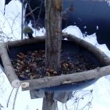 photo 2019-01-08 08-13-47