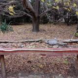 photo 2021-10-21 16-16-39