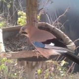 photo 2019-12-19 10-01-01