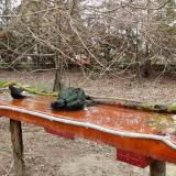 photo 2021-03-25 09-25-15