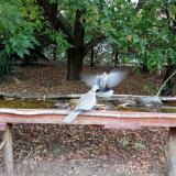 photo 2021-09-29 10-53-57