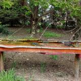 photo 2021-04-26 14-07-09