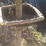 photo 2019-02-20 08-48-03