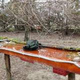 photo 2021-03-24 10-13-40