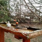 photo 2022-03-17 10-13-24