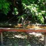 photo 2021-05-21 10-15-39