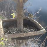 photo 2019-12-27 11-11-58