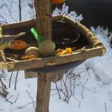 photo 2019-01-26 09-19-30