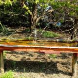 photo 2021-04-21 09-56-01