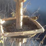 photo 2019-12-30 14-46-46