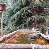 photo 2023-10-15 16-38-34