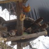 photo 2019-01-31 12-04-59