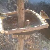 photo 2019-02-14 08-24-13