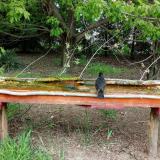 photo 2021-04-29 15-21-19