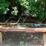 photo 2021-07-22 09-27-50