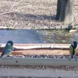 photo 2021-12-04 13-45-59-cinkek