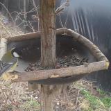 photo 2019-03-14 09-40-14