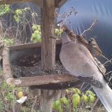 photo 2019-12-13 12-58-06