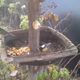 photo 2019-12-08 08-50-13