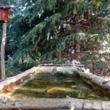 photo 2023-10-12 10-09-02