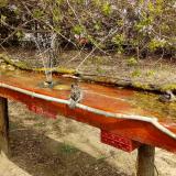 photo 2021-04-06 12-52-36