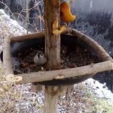 photo 2019-02-05 09-20-00