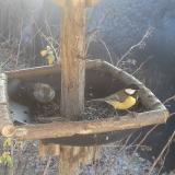 photo 2019-12-30 11-31-55