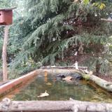 photo 2023-10-11 09-46-25