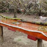 photo 2021-03-31 10-20-50