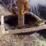 photo 2019-02-08 09-40-49