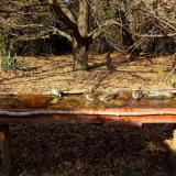 photo 2021-10-27 14-09-42