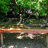 photo 2021-05-10 12-35-05