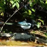 photo 2021-10-04 13-50-19 szarka