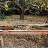 photo 2021-10-22 09-28-17