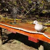 photo 2021-04-08 15-07-38