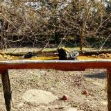 photo 2021-03-13 09-26-10