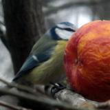 photo 2022-01-24 14-57-23 008