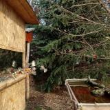 photo 2022-01-04 10-57-01