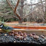 photo 2021-11-04 12-26-57