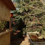 photo 2022-01-02 13-46-52