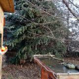 photo 2021-12-15 09-11-30