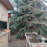 photo 2021-12-26 14-44-48