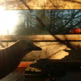 photo 2022-01-29 08-24-40