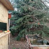 photo 2021-12-25 09-55-19