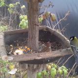 photo 2019-12-08 11-58-15