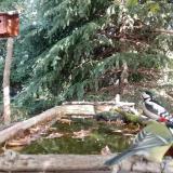 photo 2023-10-05 11-25-31