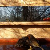 photo 2022-01-28 10-20-30