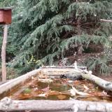 photo 2023-10-20 08-37-24