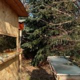 photo 2022-01-13 12-01-12