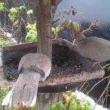 photo 2019-12-02 09-57-06